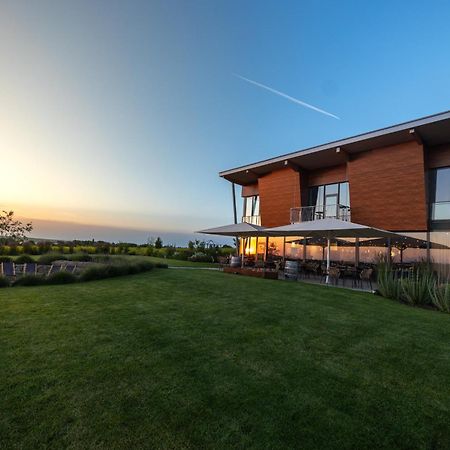 Weinzuhause Hotel-Restaurant-Vinothek Mommenheim Экстерьер фото