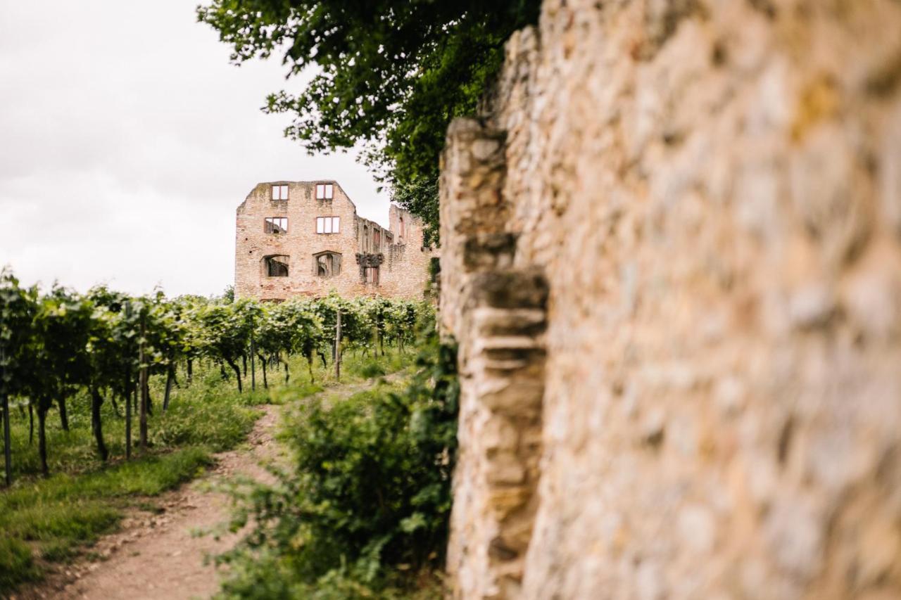 Weinzuhause Hotel-Restaurant-Vinothek Mommenheim Экстерьер фото