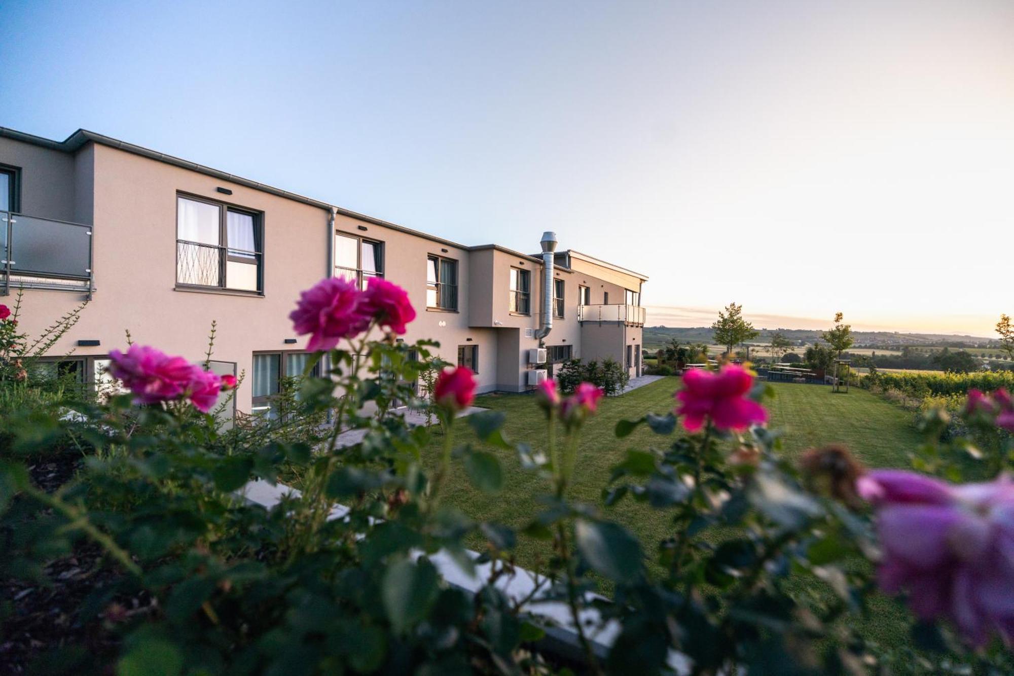 Weinzuhause Hotel-Restaurant-Vinothek Mommenheim Экстерьер фото